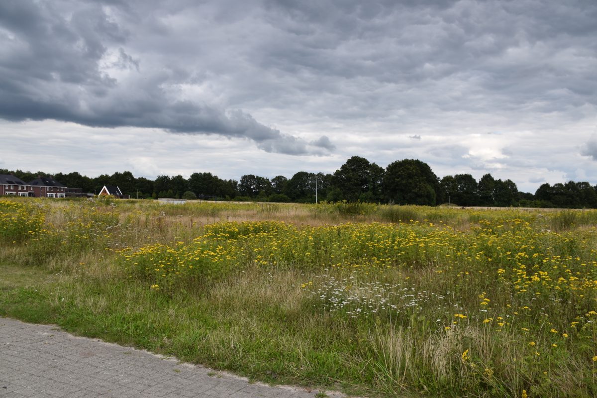 Delflanden Emmen, Delftlanden, Woonwijken, Delftlanden